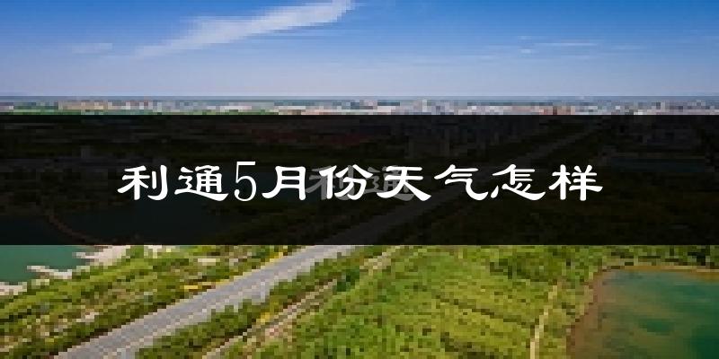 利通5月份天气怎样?利通五月冷吗?