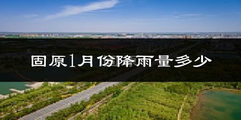 固原1月份降雨量多少?固原一月下雨多吗?