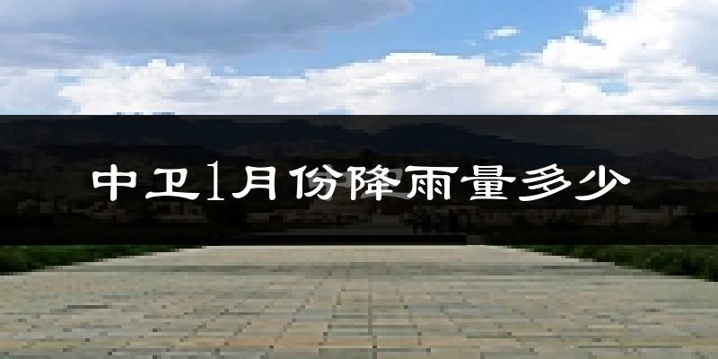 中卫1月份降雨量多少?中卫一月下雨多吗?