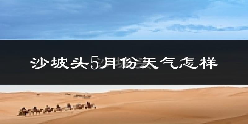 沙坡头5月份天气怎样?沙坡头五月冷不冷?