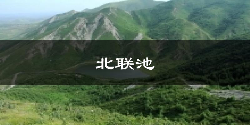 北联池天气预报十五天