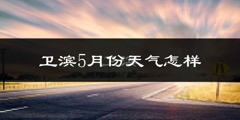 卫滨5月份天气怎样?卫滨五月冷不冷?
