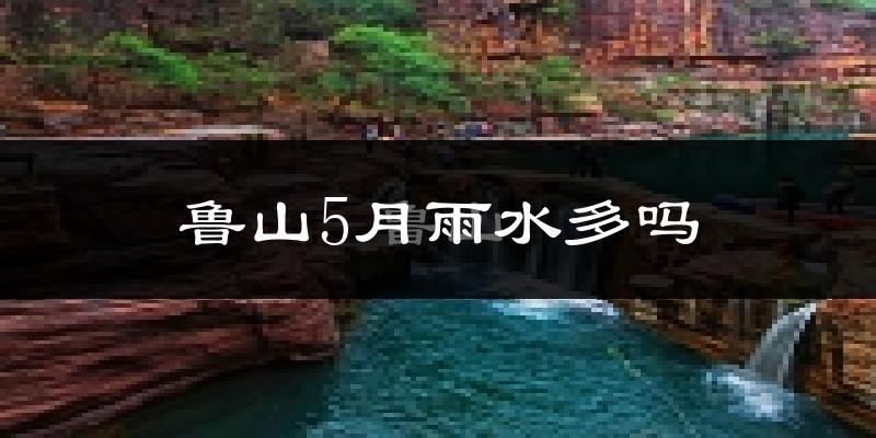 鲁山5月雨水多吗?