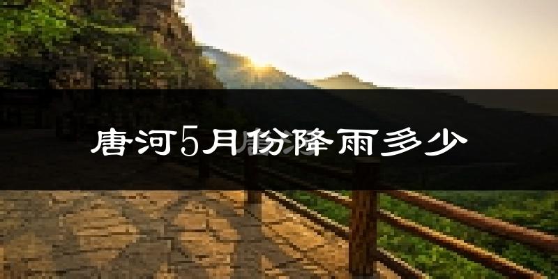 唐河5月份降雨多少?