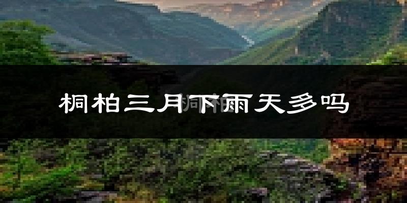 桐柏三月下雨天多吗?桐柏3月份降雨量多少?