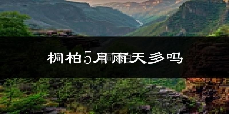 桐柏5月雨天多吗?