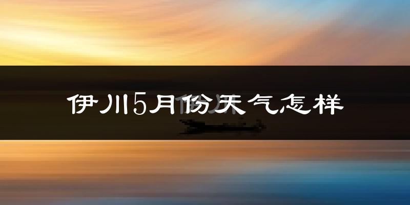 伊川县5月份天气如何?很热吗?
