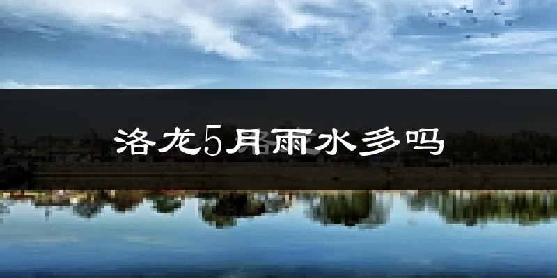 洛龙5月雨水多吗?