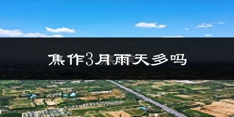 焦作3月雨天多吗?