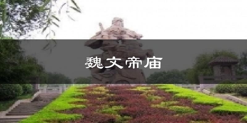 魏文帝庙天气预报十五天