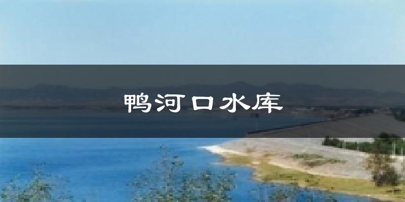 鸭河口水库天气预报十五天