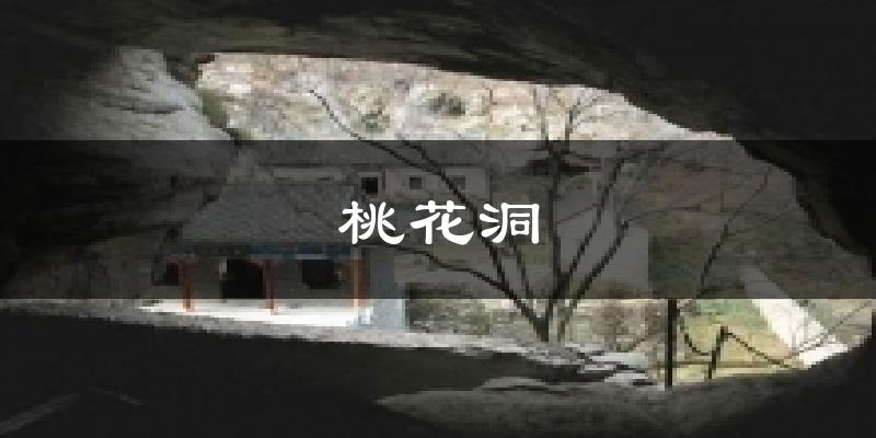 桃花洞天气预报十五天