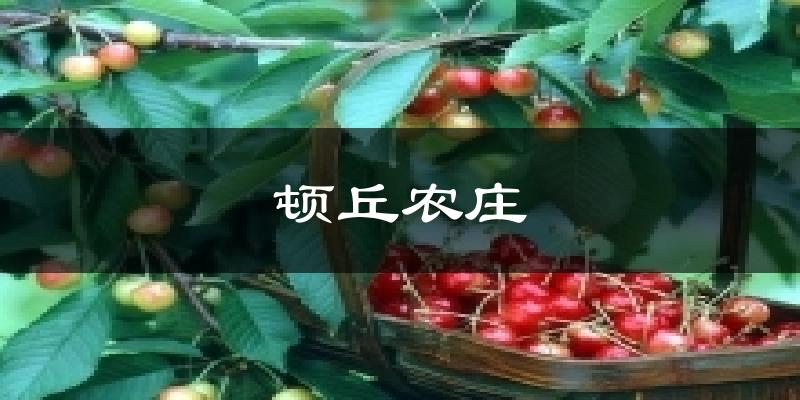 顿丘农庄天气预报十五天