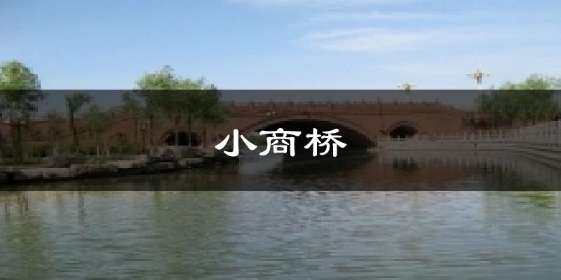 小商桥天气预报十五天