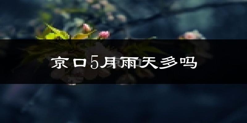 京口5月雨天多吗?