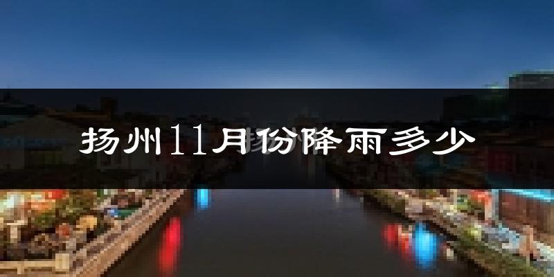 扬州11月份降雨多少?