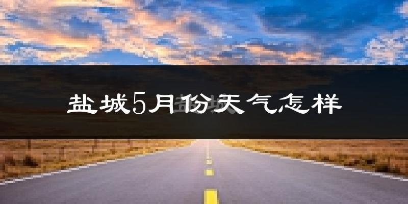 盐城市5月份天气如何?很热吗?