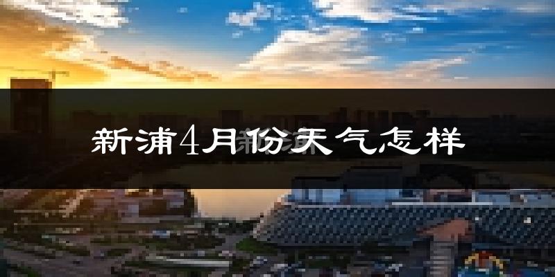 新浦4月份天气怎样?新浦四月冷吗?