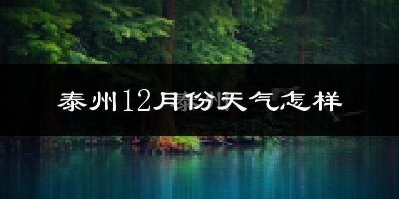 泰州12月份天气怎样?泰州十二月冷吗?