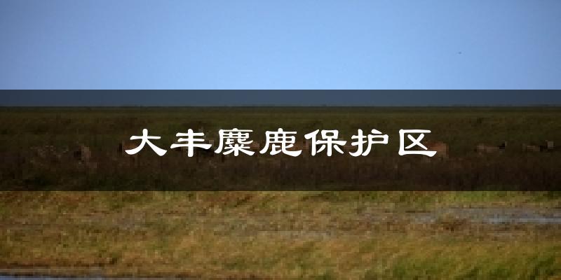 大丰麋鹿保护区天气预报十五天