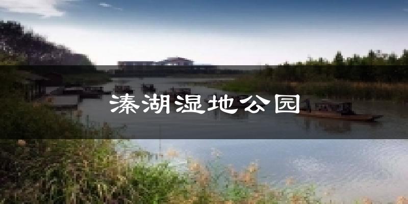 溱湖湿地公园天气预报十五天