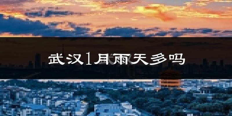 武汉1月雨天多吗?