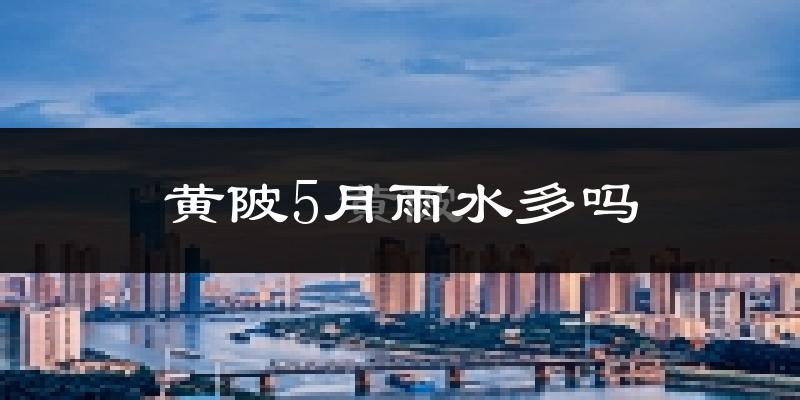 黄陂5月雨水多吗?