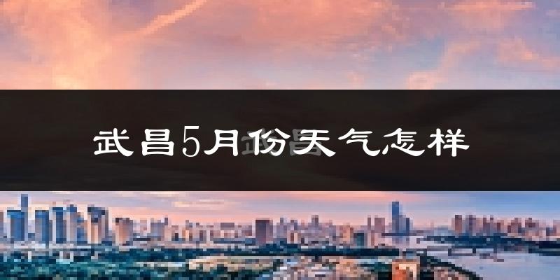 武昌5月份天气怎样?武昌五月冷不冷?