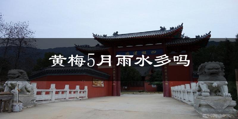 黄梅5月雨水多吗?