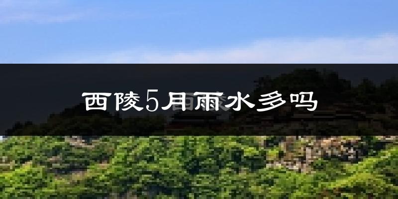 西陵5月雨水多吗?