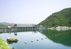 张湾今日天气