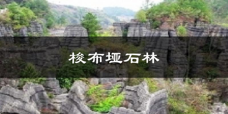 梭布垭石林天气预报十五天
