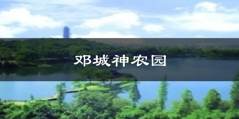 邓城神农园天气预报十五天