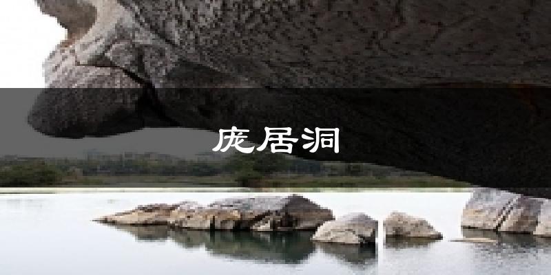 庞居洞天气预报十五天