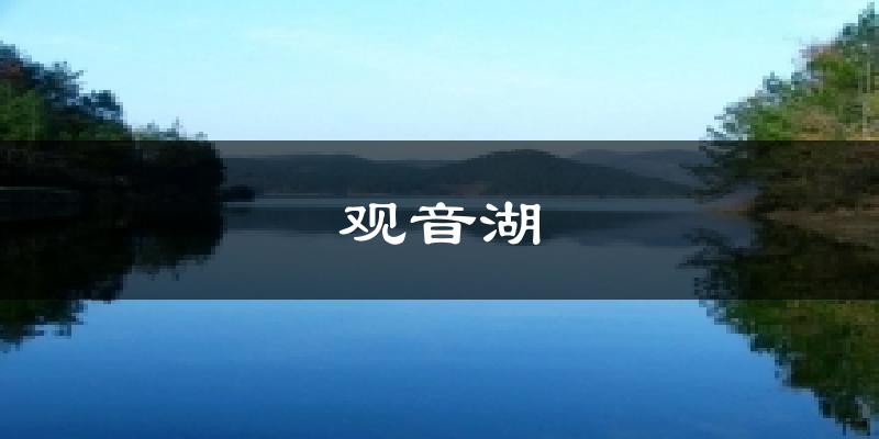 观音湖天气预报十五天