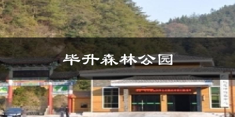毕升森林公园天气预报十五天