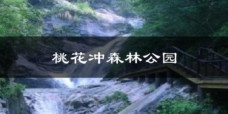 桃花冲森林公园天气预报十五天