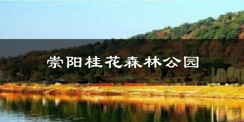 崇阳桂花森林公园天气预报十五天