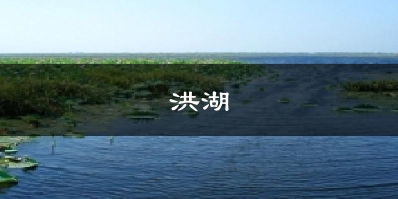 洪湖天气预报十五天