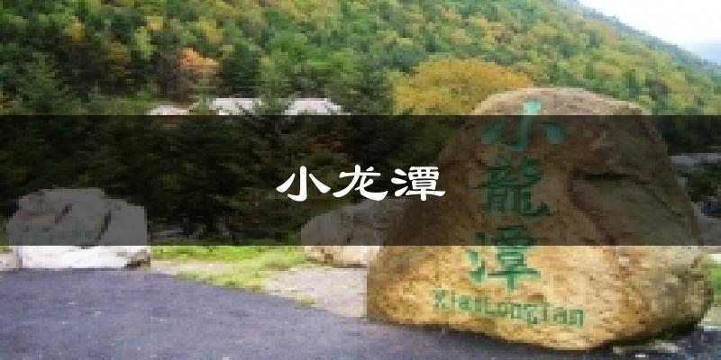 小龙潭天气预报十五天
