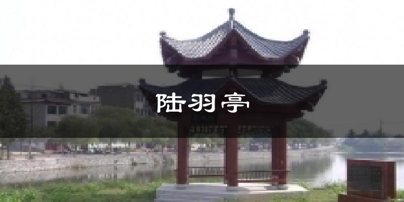陆羽亭天气预报十五天