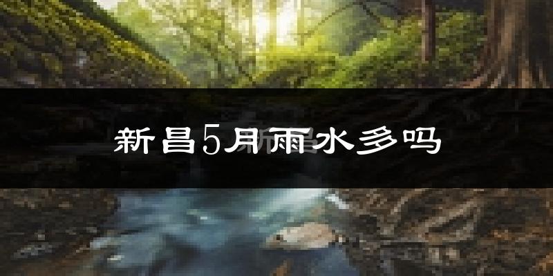 新昌5月雨水多吗?