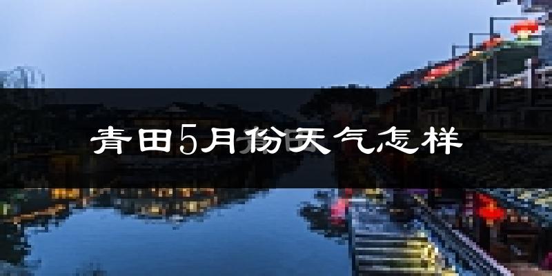 青田县5月天气如何?很热吗?