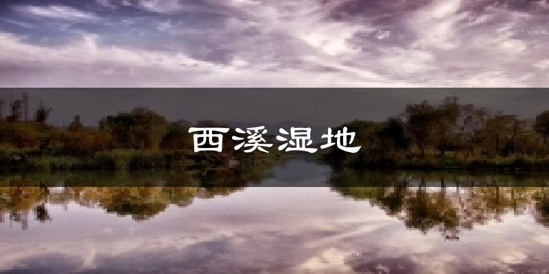西溪湿地天气预报十五天