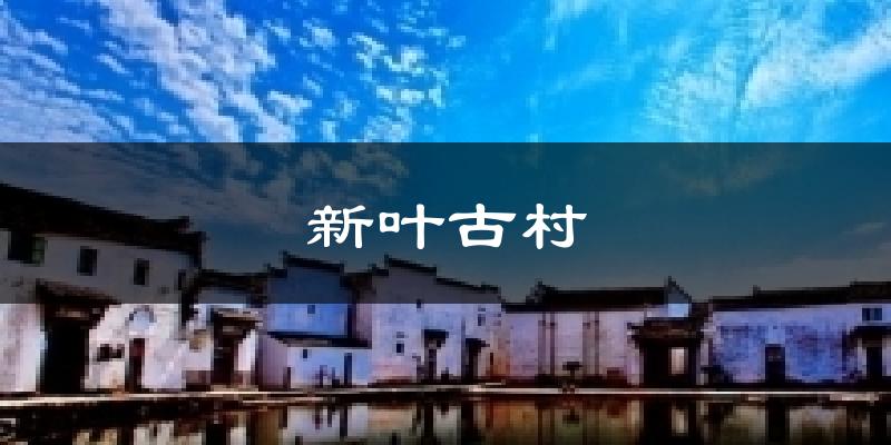 新叶古村天气预报十五天