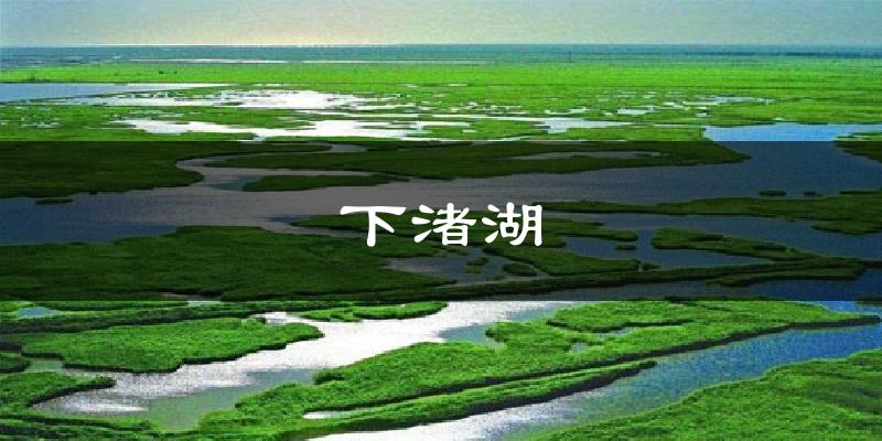 下渚湖天气预报十五天