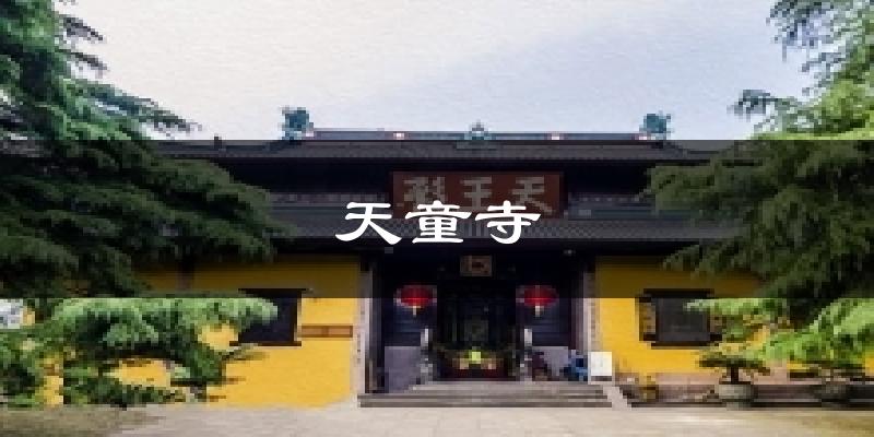 天童寺天气预报十五天