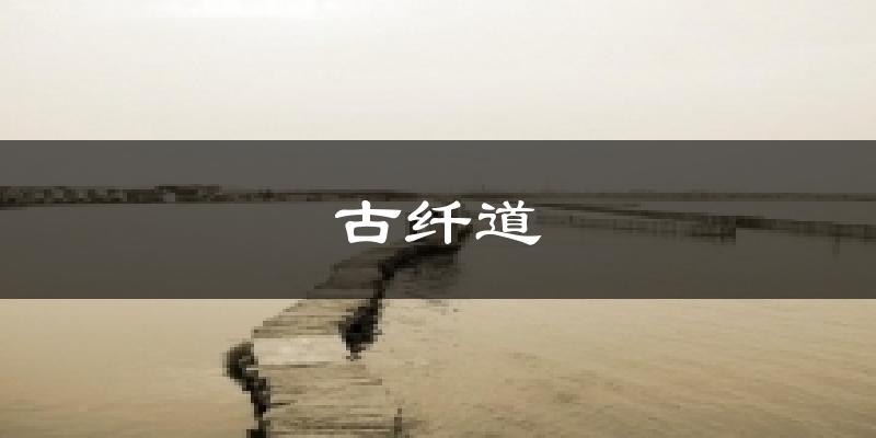 古纤道天气预报十五天