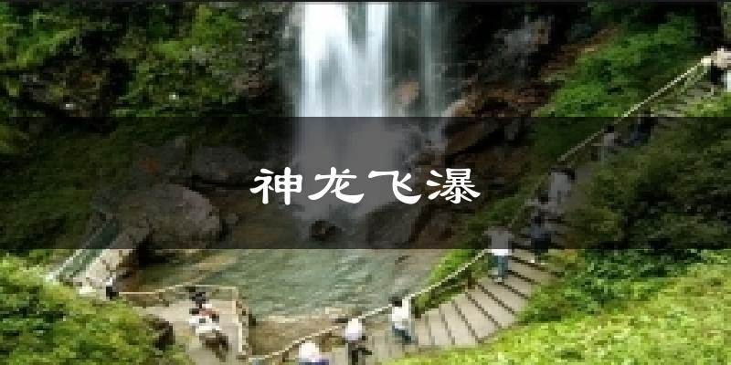 神龙飞瀑天气预报十五天