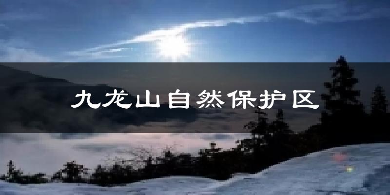 九龙山自然保护区天气预报十五天